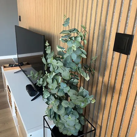 Al-dom Kniewskiego 11 شقة