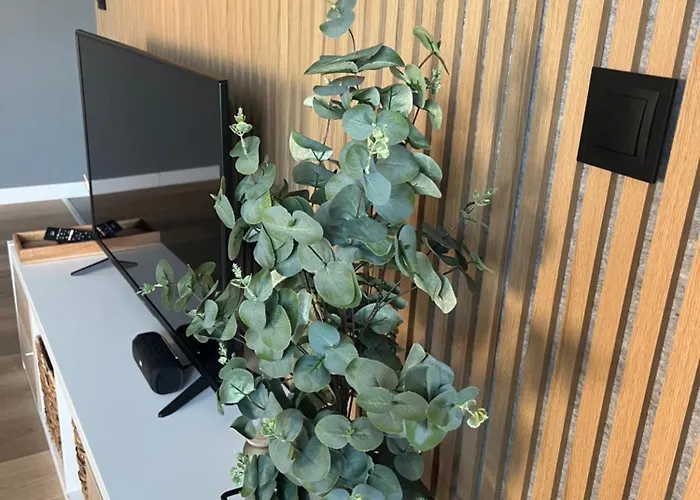 Al-dom Kniewskiego 11 Апартаменти